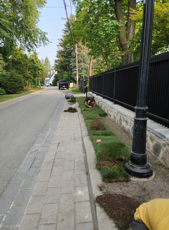 Installation de tourbe neuve sur un terrain préparé